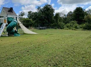 Sumit K.'s lawn service service result