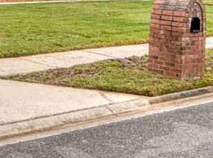 Michele C.'s Leaf Removal service result