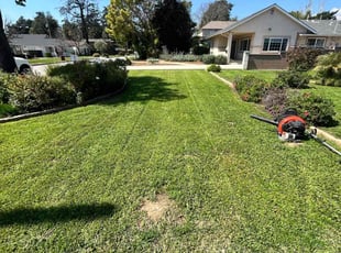 Monica V.'s lawn maintenance service result