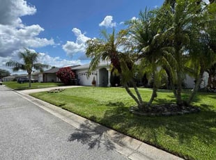 Shirley W.'s landscaping service result