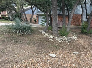 Juli S.'s Long Grass Cleanup service result