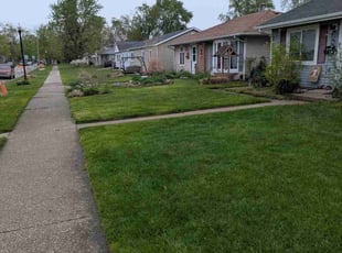 Kirston M.'s lawn care service result
