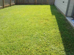 Malia Y.'s turf maintenance service result