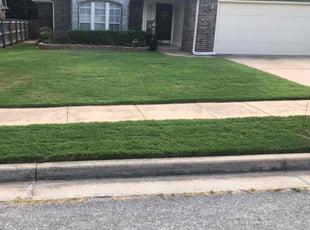 David L.'s lawn care services service result