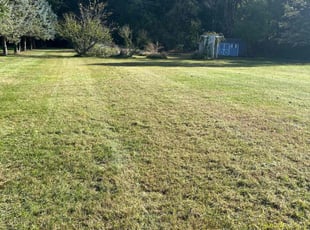 Joshua W.'s turf maintenance service result