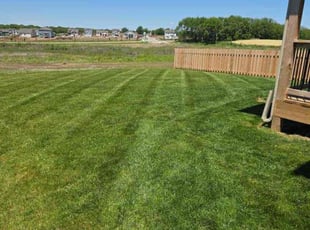 Juanita T.'s lawn care services service result