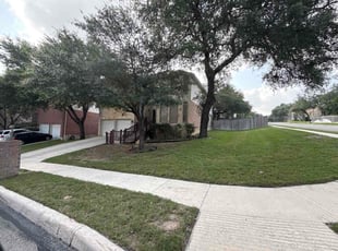 Ali Y.'s turf maintenance service result