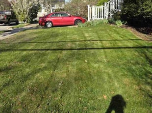 Jared S.'s turf maintenance service result