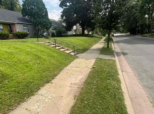 Earl C.'s turf care service result