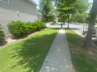 Brionna C.'s lawn maintenance service result