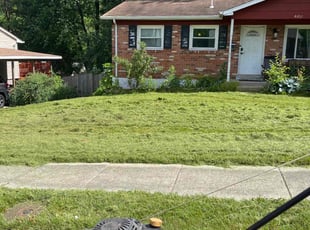 Steve T.'s lawn service service result