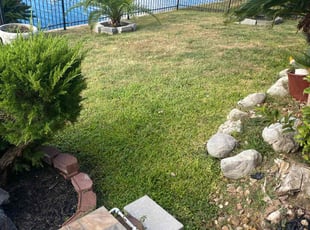 Edward K.'s lawn care services service result