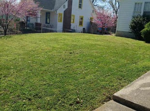 Larry S.'s grass maintenance service result