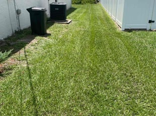 Kiana J.'s lawn service service result