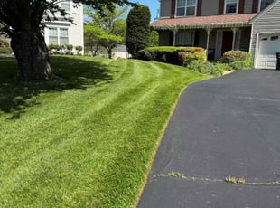 Amy B.'s grass cutting service result