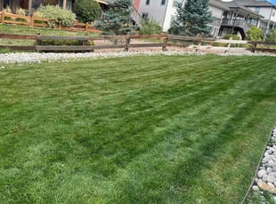 Pam F.'s turf maintenance service result