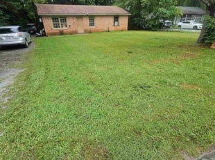 Kelly C.'s grass cutting service result