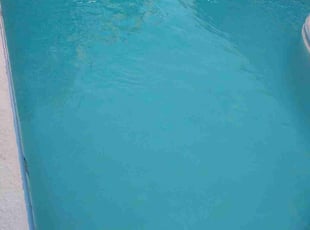 Trent G.'s Pool Cleaning service result