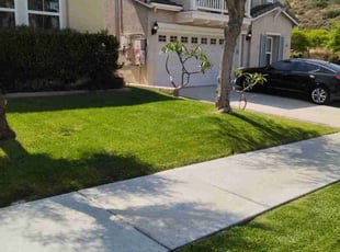 Dave V.'s lawn maintenance service result