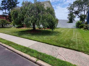 Carol K.'s lawn care service result
