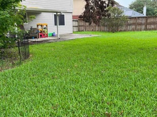 Annette Y.'s turf care service result