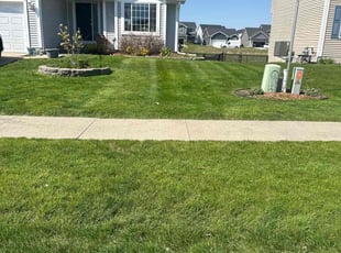 Mary Q.'s yard care service result