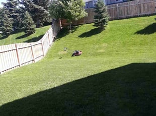 Ethan H.'s turf care service result
