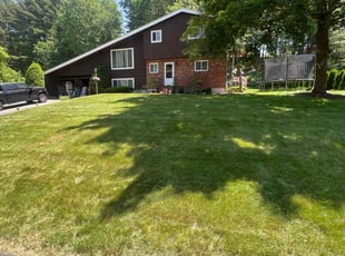 Brad S.'s grass maintenance service result