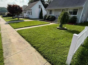 Jean F.'s turf maintenance service result