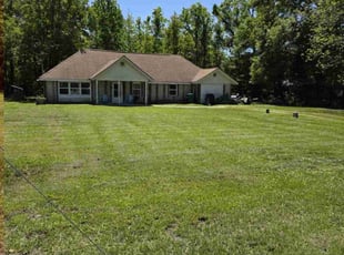 Vickie S.'s turf care service result