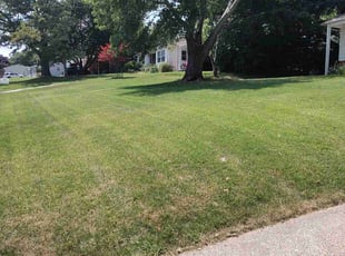 Donna N.'s turf maintenance service result