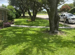 Shauna M.'s gardening service service result