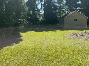 Barbara K.'s lawn maintenance service result