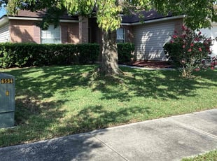 Venkata G.'s lawn care service result