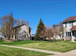 Jemila A.'s lawn care service result