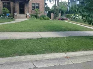 Karen K.'s grass maintenance service result