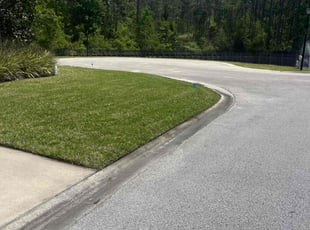 Latasha P.'s lawn care services service result