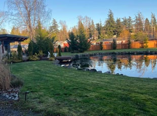 Resa C.'s grass cutting service result