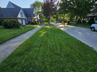 Barbara J.'s lawn service service result