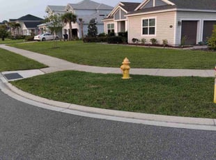 Richard S.'s grass cutting service result