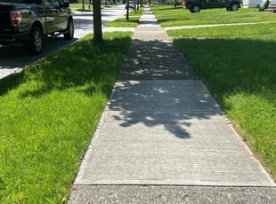 Pedro C.'s lawn maintenance service result