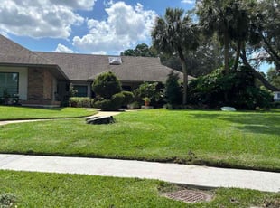 Rachel V.'s grass maintenance service result