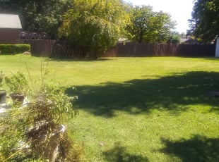 Don R.'s Bush Trimming service result