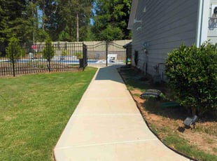 Chris D.'s turf care service result