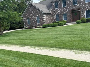 Ce C.'s lawn service service result