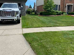 Morgan R.'s turf care service result