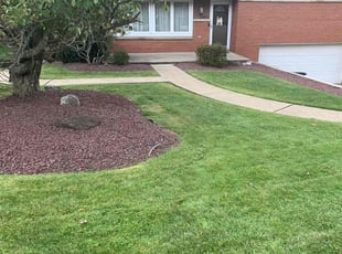 Nathaniel B.'s turf care service result