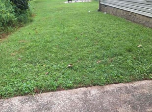 Jon E.'s lawn care service result