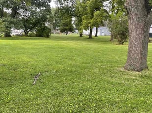 Amanda F.'s turf care service result