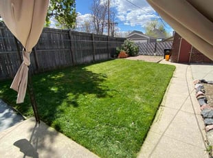 Adam K.'s grass maintenance service result